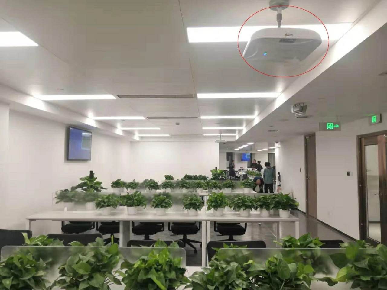 疫情愈演愈烈,除了口罩,还有别的自保方式