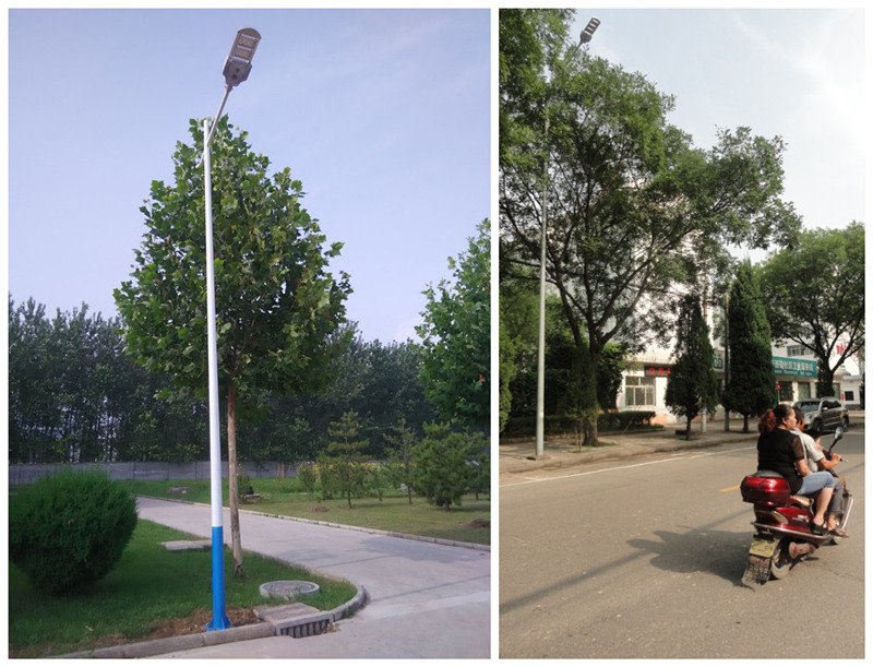 福万达空气净化路灯亮相长治街头，成市民健康新的守护者